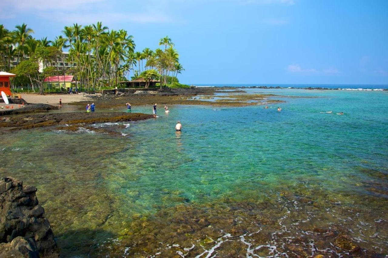 The Cozy Big Studio -30 Days Kailua-Kona Esterno foto